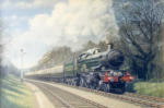 Painting, GWR Castle class, Hermedon Bank, Devon, oil on canvas, 20" x 30"
